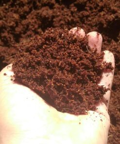 SpongEase Coconut Coir Compressed Block expands up to 18.7 Gallons (2.5 Cu Ft) - Ideal Growing Medium for Potting Mix - Healthy Roots, Healthy Plants and Bountiful Harvest (1 Pack) - Healthy Roots, Healthy Plants & Bountiful Harvest 25 81fq5B0BZL