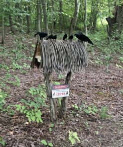 PREXTEX 6pcs Black-Feathered Small Crows Halloween Decorations | Outdoor&Indoor Decor | Fake Bird, Halloween Birds, Scary Ravens, Decorative Crows, Raven | Home, Fence, Porch, Tree, Party Decoration 27 81frjw40ENL