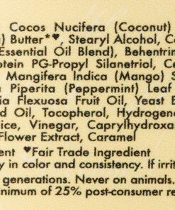 SheaMoisture Jamaican Black Castor Oil Treatment Masque Jamaican Black Castor Oil For Dry Hair Paraben Free Hair Mask 11.5oz 33 81fufJyiS5L