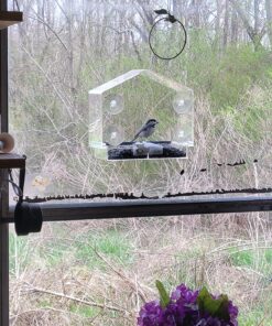 Window Bird Feeders for Outside - Large Bird House Style Window Bird Feeder - Window Bird Feeders with Strong Suction Cups with Drain Holes, Removable Tray, Large Seed Capacity and Rubber Perch 34 81fznTUowlL