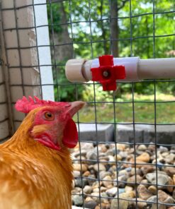 Backyard Barnyard 12 Pack Automatic Chicken Water Nipple Make Your Own Waterer Kit (Install Tools Included) Horizontal Clean Drinker Coop or Poultry Run Bebederos Gallinas Pollos Duck Quail 17 81g0wVL04jL