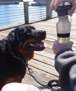 Highwave AutoDogMug Dog Water Bottle BPA-Free Portable Dog Water Bottle | Leak-Proof Portable Dog Water Bottle for Hiking and Traveling | Dish-Washer Safe, 20 oz Smoke 29 81g1ZCl46lL