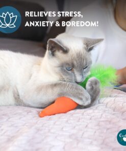 OurPets 100-Percent North American Catnip Filled Carrot Cat Toy 24 Karat OurPets 100-Percent Premium North- American Grown Cosmic Catnip Cat Toy 27 81g6e6FxzkL