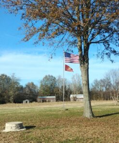 Annin Flagmakers Model 2730 American Flag Tough-Tex Polyester Flag, 5 x 8 Feet 5x8 ft. 35 81g7CD9YWfL