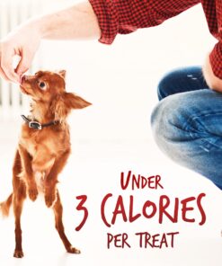 Fruitables Skinny Mini Dog Treats – Healthy Treats for Dogs – Low Calorie Training Treats – Free of Wheat, Corn and Soy – Apple Bacon – 5 Ounces 5 Ounce (Pack of 1) 24 81g7ZwGd5ZS