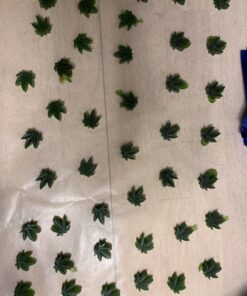 PJ BOLD Marijuana Weed Leaf Gummy Molds Silicone Candy Mold Kit - 3 Pack Dropper 36 81gA4DGuKcL