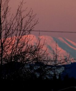 Nikon Coolpix L340 20.2 MP Digital Camera with 28x Optical Zoom and 3.0-Inch LCD (Black) Base 72 81gEEayoooL