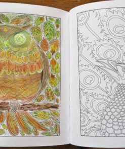 Adult Coloring Books Set - 3 for Grownups 120 Unique Animals, Scenery & Mandalas Designs. Adults Relaxation. 43 81gImViyf5L