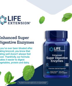 Life Extension Enhanced Super Digestive Enzymes - Digestive Health Support Supplement - Targets Fat, Protein, carb Digestion - Vegetarian Formula - Non-GMO - 60 Capsules 11 81gKvhsO UL