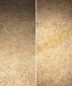 BUBBAS Super Strength Enzyme Cleaner - Pet Odor Eliminator - Carpet Stain Remover - Remove Dog & Cat Urine Odor from Mattress, Sofa, Rug, Laundry, Hardwood Floors and more. Puppy Training Supplies 128 Fl Oz (Pack of 1) 36 81gLCaBSV6L