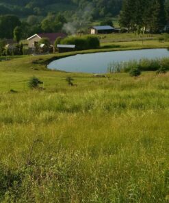 Jenlis The Original Weed Razer, Lake Weed Cutter, Large Pond Aquatic Plant Cutting Tool, Long and Sharp Razor Blades Shear Cattail, Reed, Lilly & Chara Algae, 48 Inch Cut Width, 25 Foot Throw Rope Jenlis Weed Razer Aquatic Weed Cutter 53 81gNYNribyL