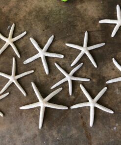 LOT of 10 White Pencil Starfish Wedding Decor 4" - 5" 21 81gONerNymL