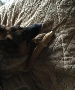 Best Bully Sticks All Natural Dog Chews - 5-6 Inch Curly Bully Sticks - USA Baked & Packed - Highly Digestible, Limited Ingredient, Rawhide Alternative Dog Chew - 12 Pack 5-6 Inch (12 Pack) 14 81gOaLdgfSL