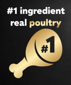 CESAR Adult Wet Dog Food Classic Loaf in Sauce Poultry Variety Pack,. Easy Peel Trays with Real Chicken, Turkey or Duck, 3.5 Ounce (Pack of 24) 3.5 Ounce (Pack of 24) multi 21 81gRUwaVZL