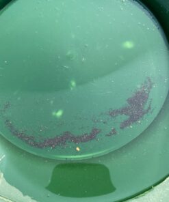 SE Black Prospector's Scoop - 12.5" Heavy-Duty Plastic Tool for Metal Detecting, Gold Panning, Treasure Hunting, and Gardening 16 81gRXDPQONL