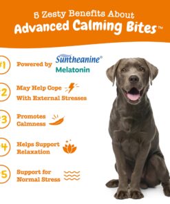 Zesty Paws Calming Chews for Dogs Composure & Relaxation for Everyday Stress & Separation Advanced Melatonin 90 Count Turkey - Melatonin 90 Count (Pack of 1) 24 81gTWhwMtBL