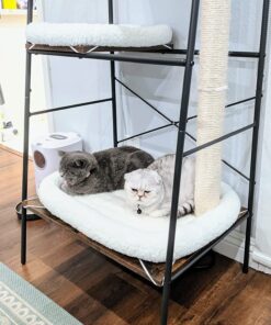 MidWest Homes for Pets Bolster Fleece Pet Bed for Dog And Cats 24L-Inch White w/ Comfortable Bolster | Ideal for Small Dog Breeds & Fits a 24-Inch Dog Crate | Machine Wash & Dry | 1-Year Warranty 42 81gU8GKM0SL