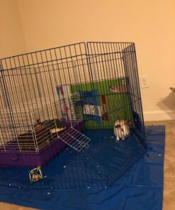Kaytee Pet-N-Playpen with Mat for Pet Rabbits, Guinea Pigs, Ferrets or Other Small Animals 34 81gX1sMxXTL