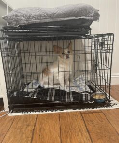 MidWest Homes for Pets Newly Enhanced Single Door iCrate Dog Crate, Includes Leak-Proof Pan, Floor Protecting Feet , Divider Pane l & New Patented Features Medium 38 81gXN6Gh QL