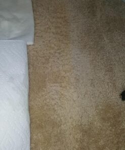 Rocco & Roxie Stain & Odor Eliminator for Strong Odor - Enzyme Pet Odor Eliminator for Home - Carpet Stain Remover for Cats and Dog Pee - Enzymatic Cat Urine Destroyer - Carpet Cleaner Spray 32 oz 33 81gY2pKlsIL 1