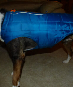 Kurgo Loft Dog Jacket, Reversible Dog Coat, Wear with Harness or Sweater, Water Resistant, Reflective, Winter Coat For Large Dogs (Coastal Blue, L) Coastal Blue/Orange 36 81gbAokgPUL