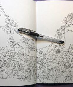 Mori ga kanaderu rhapsody. Rhapsody in the forest.(Coloring Book Japan Edition) 48 81gcR7qktYL