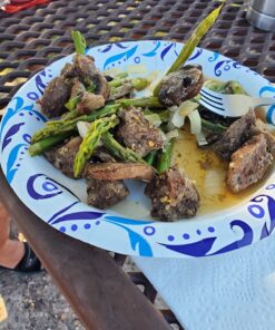 GOSUN Sport Solar Oven | Fastest Portable Camping Stove| Compact Camping Cookware and Survival Gear | Outdoor Oven & Solar Powered Camping Grill | Off-Grid Solar Oven & Stove for Hiking & Camping 46 81gdKhzHTaL