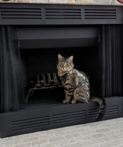 Rust-Oleum 248903 12-Ounce 2000 Degree, Flat Black Automotive High Heat Spray Paint, 12 Ounce (Pack of 1) 12 Ounce (Pack of 1) 33 81gefDSfaCL