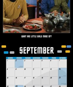 Star Trek 2019 Wall Calendar: The Original Series 7 81gigXzMcL