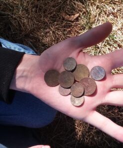 Garrett 1140900 Pro-Pointer AT Waterproof Pinpointing Metal Detector, Orange 33 81gnOAcZwgL