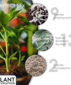 Plant Revolution PRPSGW01 Premium White Mycorrhizae, 1 oz, 1 Ounce, Gray 30 81gow6QkmWL