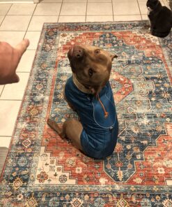 Kurgo Loft Dog Jacket, Reversible Dog Coat, Wear with Harness or Sweater, Water Resistant, Reflective, Winter Coat For Large Dogs (Coastal Blue, L) Coastal Blue/Orange 39 81gpDp0y1ML