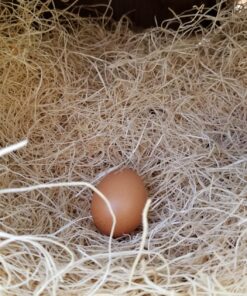 MagJo Premium Aspen 12 Pack Excelsior Nesting Liners (12 Pack), Chicken Bedding for Nesting Box, Nesting Pads Box Liners, Chicken Bedding for coop, Chick Bedding, USA Grown & Sustainably Harvested 39 81gpGtK0xJL