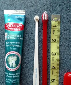 Petrodex Dental Care Kit for Cats, Cat Toothbrush and Toothpaste, Cleans Teeth and Fights Bad Breath, Reduces Plaque Tartar Formation, Malt Flavor, 2.5oz Toothpaste + Toothbrush 1 Count 29 81gtLAMmsL