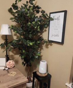 Nearly Natural 6ft. Ficus Artificial Trees, 72in, Green 72 in 33 81gvqztX1SL