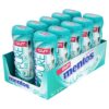 Mentos Pure Fresh Sugar-Free Chewing Gum with Xylitol, Wintergreen, 15 Piece Bottle (Bulk Pack of 10) Pocket Bottle 15 Count (Pack of 10) 9 81gwqSgva2S