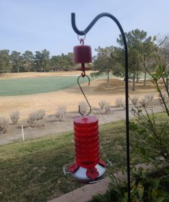 Perky-Pet 245L Ant Guard for Hummingbird & Oriole Feeders - Protects Nectar From Ants, Red, Pack of 1 28 81h n6iYrML 4