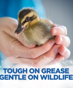 Dawn Ultra Dishwashing Liquid Dish Soap, Original Scent, 38 fl oz 38 Fl Oz (Pack of 1) 20 81h46L5eehS