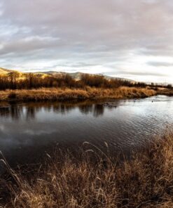 Nikon AF DX NIKKOR 10.5mm f/2.8G ED Fixed Zoom Fisheye Lens with Auto Focus for Nikon DSLR Cameras 34 81h4ohgSfDL