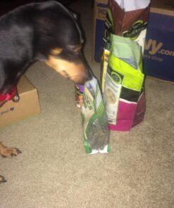 GREENIES TEENIE Natural Dog Dental Care Chews Oral Health Dog Treats Fresh Flavor, 12 oz. Pack (43 Treats) Mint Fresh 43 Count (Pack of 1) 47 81h9HxXs37L