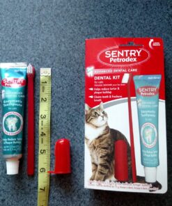 Petrodex Dental Care Kit for Cats, Cat Toothbrush and Toothpaste, Cleans Teeth and Fights Bad Breath, Reduces Plaque Tartar Formation, Malt Flavor, 2.5oz Toothpaste + Toothbrush 1 Count 30 81hAOM5 fVL