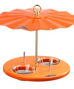 Kettle Moraine Super Oriole Recycled Orange Fruit, Jelly, Mealworm Bird Feeder w/Orange Roof 25 81hBidfvZ5L