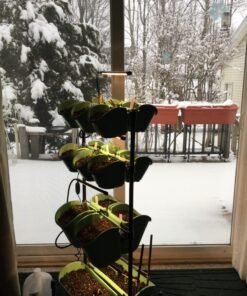 Watex Mobile Green Wall (Double Frame, Spring Bouquet), BPA Free Planters Double Frame 35 81hEsJ6T7L