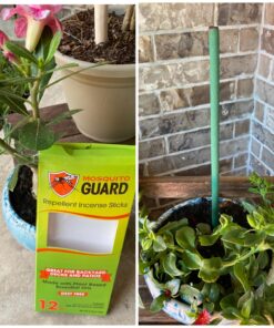Mosquito Guard 12 Mosquito Repellent Sticks - 2.5 Hrs Protection 1ft, Natural Plant Based Citronella Incense Sticks -Outdoor Patio 19 81hF3pv0MvL