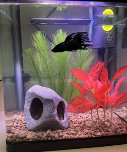 Marina Naturals Red Foreground Silk Plant – Fish Tank Decoration Mimics Live Aquarium Plants Red Small 21 81hFigBrRjL