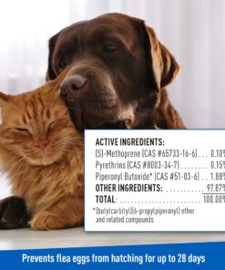 Adams Plus Flea & Tick Shampoo with Precor for Cats, Kittens, Dogs & Puppies Over 12 Weeks Of Age Sensitive Skin Flea Treatment | Kills Adult Fleas, Flea Eggs, Ticks, and Lice 12 Ounces Shampoo Only 29 81hI fkWDL 1