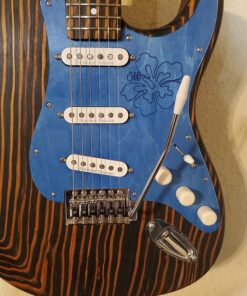 Fender American Series Stratocaster Tremolo Arm Tension Springs 21 81hIS4MzeL