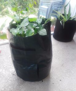 Upstreet Garden Grow Bags – 2 Pack Garden Bags to Grow Vegetables: Carrot, Tomato, Onion, Potato Planting Bags with Flap, Eco-Friendly, Heavy Duty Fabric Planting Pots 2 - Pack 41 81hMmuFztyL