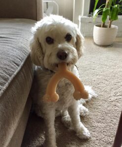 Nylabone Wishbone Power Chew Dog Toy Medium/Wolf (1 Count) Medium up to 35 lbs. 37 81hNubHPiXL