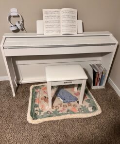 Casio Privia PX-870 Digital Piano - White Bundle with Furniture Bench, Instructional Book, Austin Bazaar Instructional DVD, and Polishing Cloth PX-870 Bundle w/ Furniture Bench 14 81hP3HUM4gL